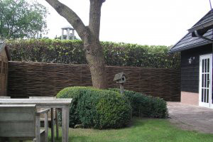 Schuttingen & Erfafscheidingen - 