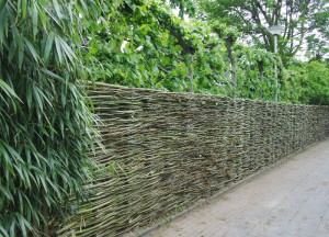 Wilgentenen schutting - Wilhout - Wilhout wilgentenen schuttingen