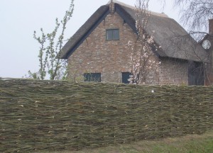 Wilgentenen schutting - Wilhout