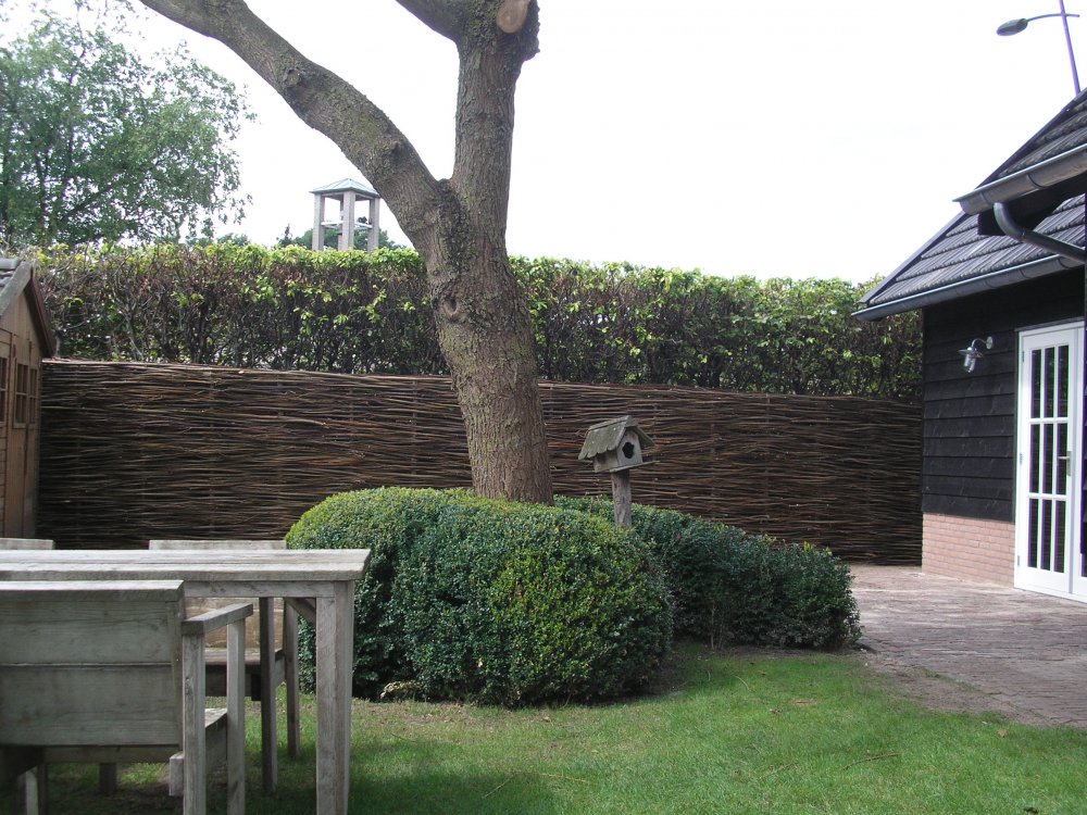 Wilgentenen schermen - Wilhout