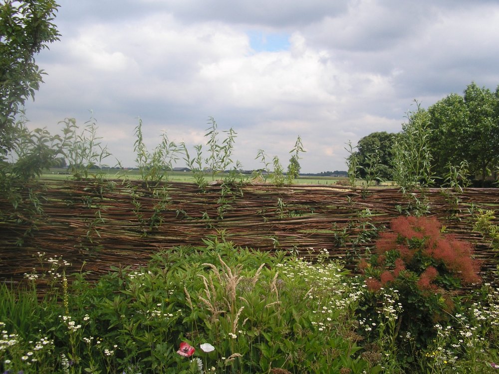 wilgentakken schutting