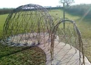 wilgentakken schutting