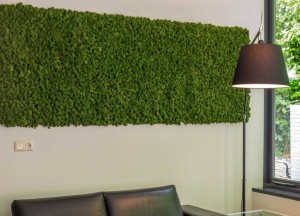 Mosschilderijen van Moswens - Moswens