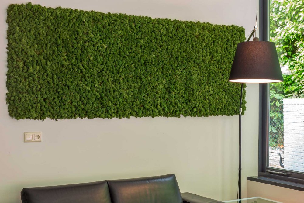 Mosschilderijen van Moswens