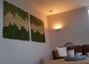 Mosschilderijen van Moswens