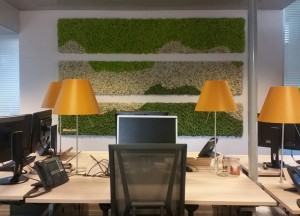 Mosschilderijen van Moswens