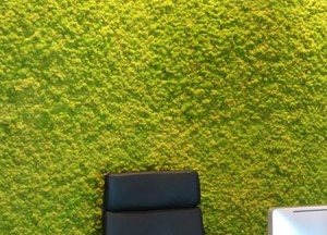 Moswanden van Moswens - Moswens