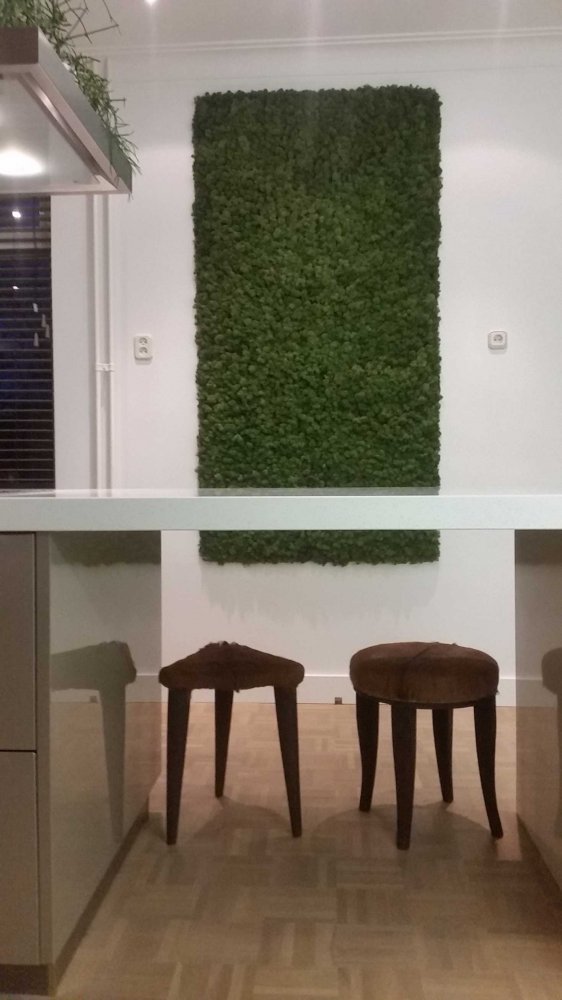 Moswand of mosschilderij in de keuken