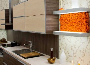 Moswand of mosschilderij in de keuken