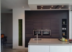 Moswand of mosschilderij in de keuken