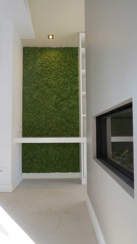 Moswand in modern woonhuis