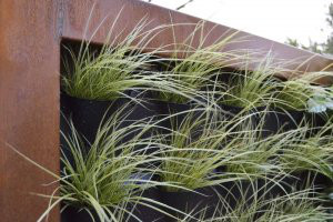 Plantenbakken & bloempotten - 