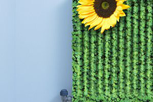 Energiezuinig verwarmen - 