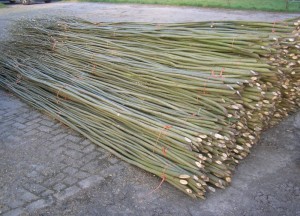 Wilgentenen - Wilhout wilgentenen schuttingen