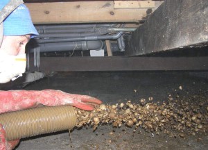 Isoschelp kruipruimte isolatie - Isoschelp