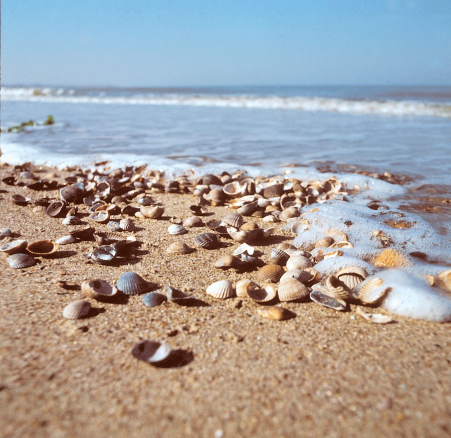 Isoschelp milieuvriendelijke vloerisolatie
