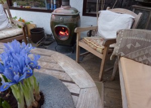 African Flame pothaard voor terras