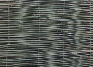 Wilhout Wilgentenenschermen op muur geplaatst