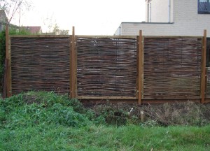 Wilhout Wilgentenenschutting in stevige omlijsting