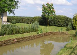 Wilhout Wilgentenen oeverbescherming - Wilhout wilgentenen schuttingen