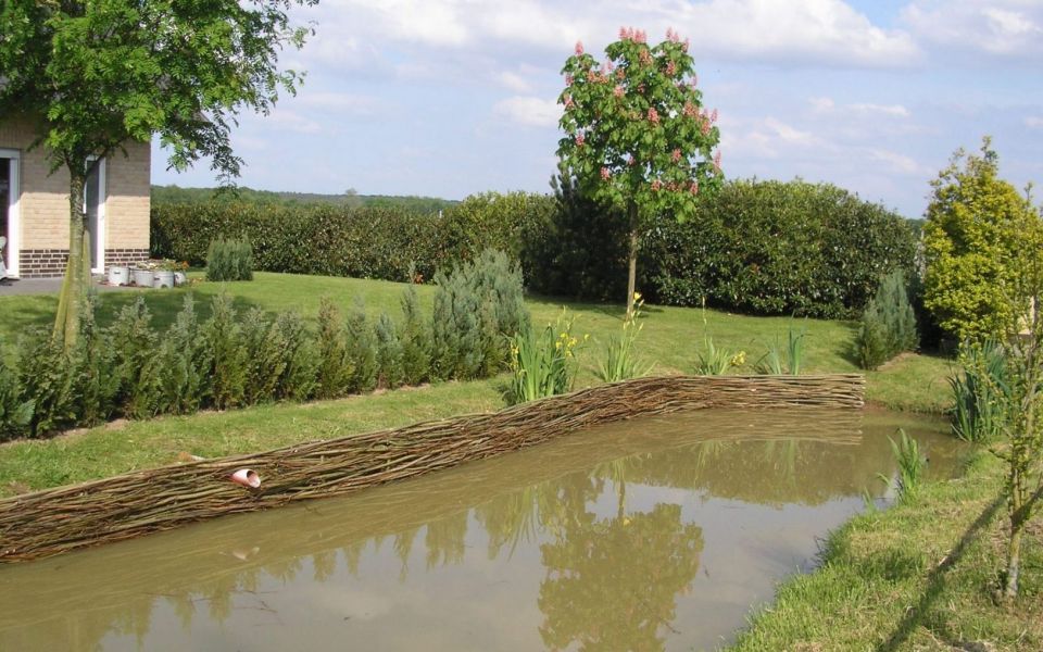 Wilhout Wilgentenen oeverbescherming
