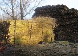 Wilhout Wilgentenen oeverbescherming