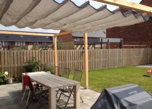 Wavesail ZONZ Sunfighters