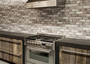 STEEL GENESI fornuizen