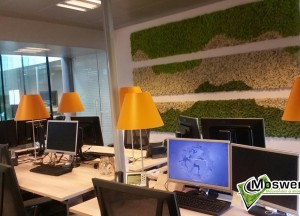 Mosschilderij voor het kantoor - Moswens