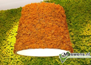 Mosmaatwerk van Moswens - Moswens