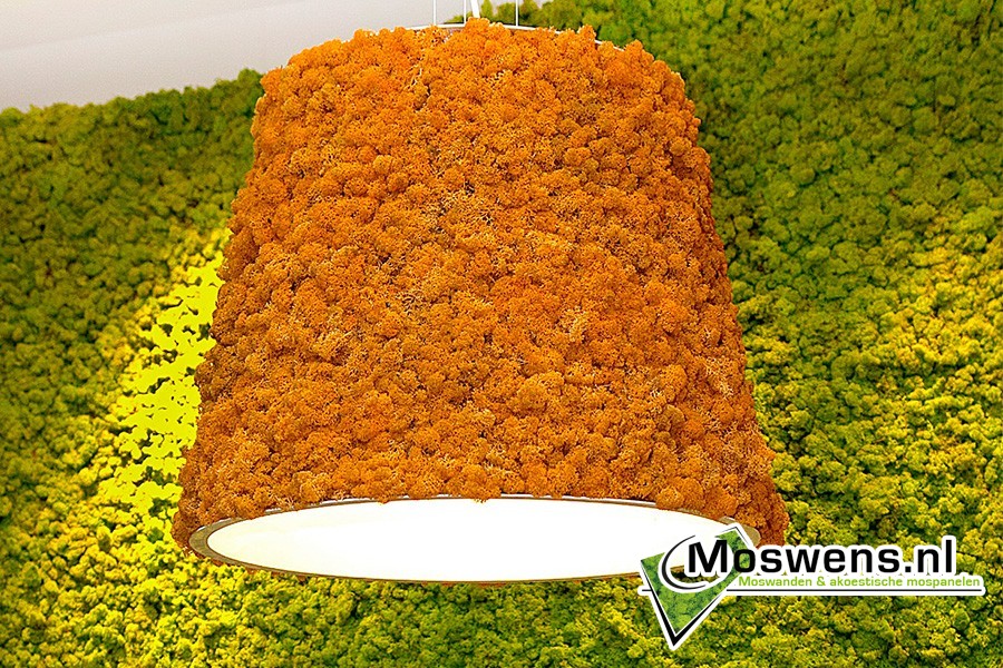 Mosmaatwerk van Moswens