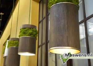 Mosmaatwerk van Moswens