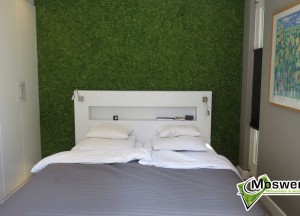 Natuurlijke interieurstijl van Moswens