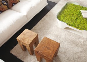 Natuurlijke interieurstijl van Moswens