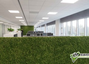 Moswens Akoestische moswand - Moswens