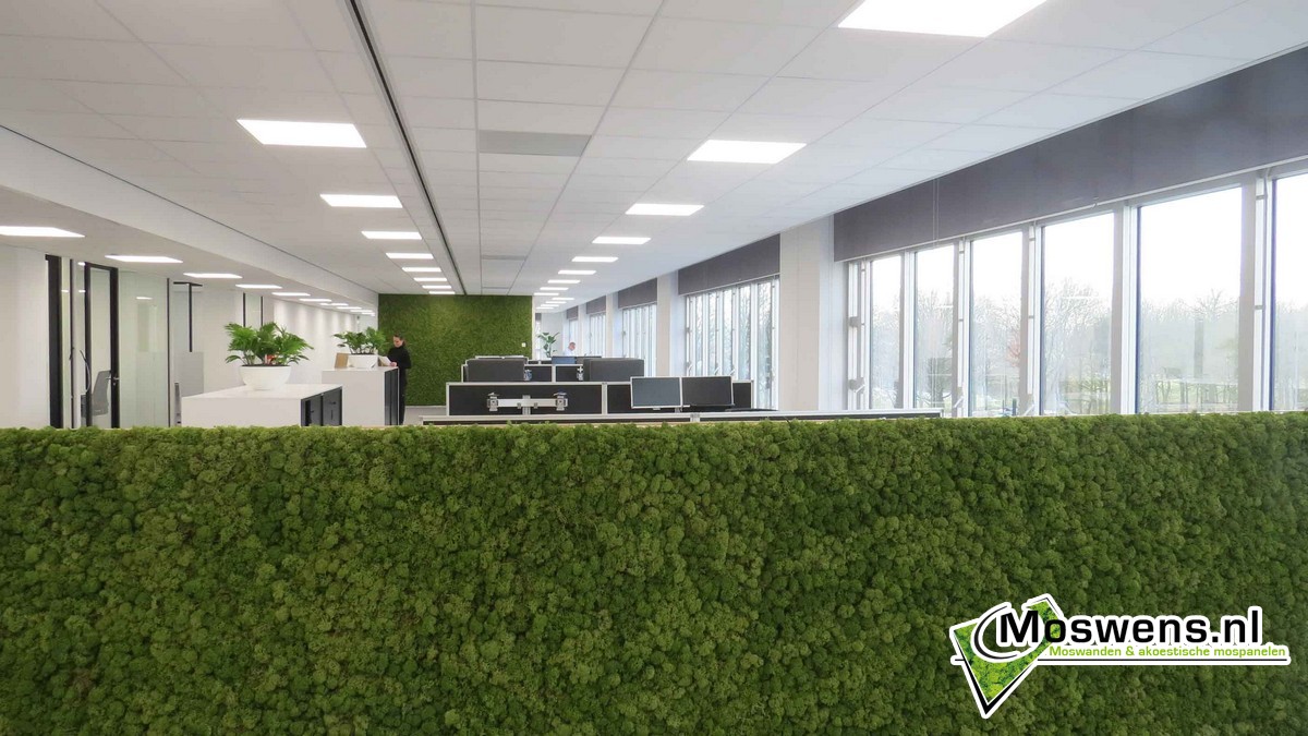 Moswens Akoestische moswand