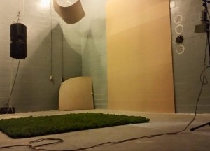 Moswens Akoestische moswand