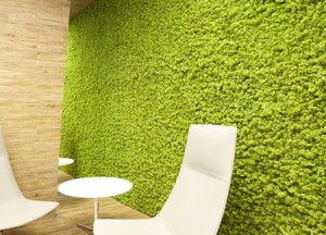 Moswens Akoestische moswand