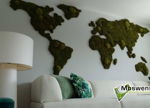 Moswens wereldkaart van mos