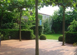 Exterpark Plus houten terrasdelen buitenparket