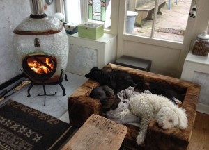 African Flame keramische pothaarden 