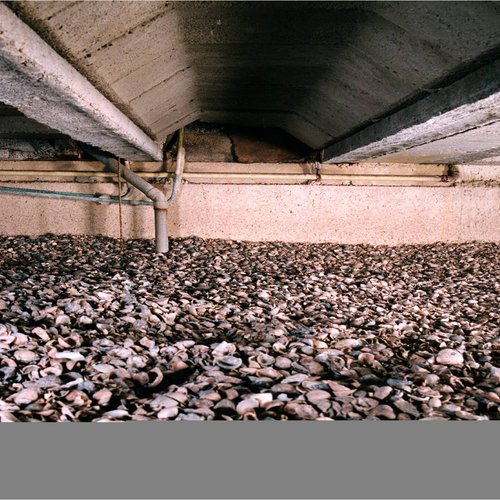 Warmte isolerende schelpen