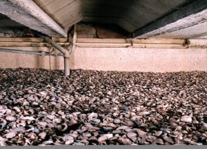 Vloerisolatie zonder ventilatie