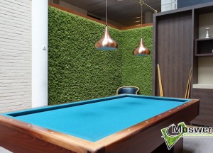 Moswanden en Akoestische mospanelen - Moswens