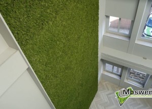 Moswanden en Akoestische mospanelen