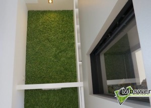 Moswanden en Akoestische mospanelen