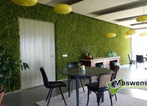 Duurzame en Aaibare moswand - Moswens