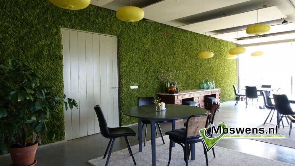 Duurzame en Aaibare moswand