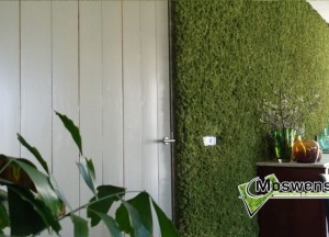 Duurzame en Aaibare moswand