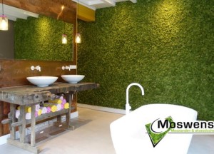 Moswand in de badkamer - Moswens
